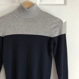 Ann Taylor Colorblock Turtleneck